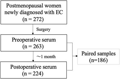 Circulating adrenal 11-oxygenated androgens are associated with clinical outcome in endometrial cancer